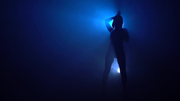 Woman dancing striptease view — Stock Video
