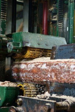 Kereste fabrikası. Oturum açma makinesi kesilmiş görüntü