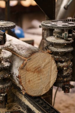 Ahşap kereste fabrikası, kesme makinesi görüntü