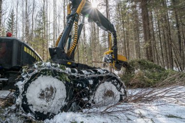 Orman iş. Modern günlük yükleyici çalışma görüntü