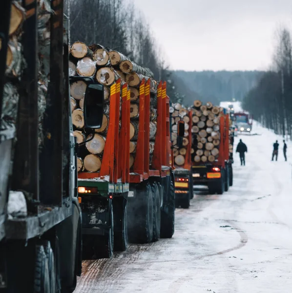 Vehículos largos cargados en carretera de invierno entre bosques —  Fotos de Stock