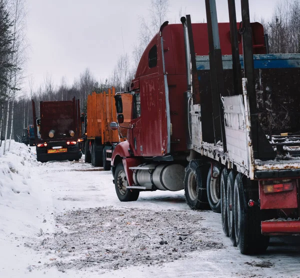 Empty long vehicles on winter road among forest