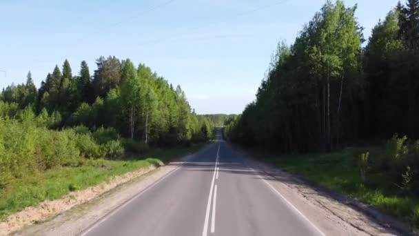 Vlieg over verharde weg tussen bos op een zomerdag video — Stockvideo