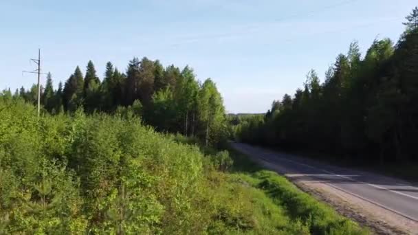 Strada asfaltata tra la foresta in un video di una giornata estiva — Video Stock