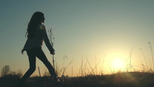 Silhouette de petite fille heureuse sur le champ d'herbe — Video
