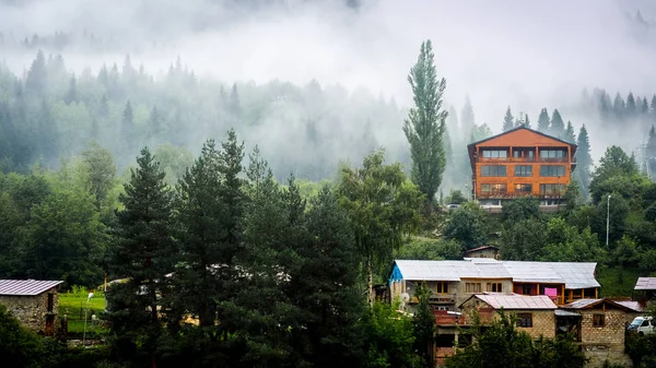 Wooden house in forest, Mestia, Georgia