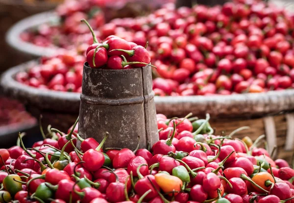 Biber biber bir semt pazarı üzerinde — Stok fotoğraf