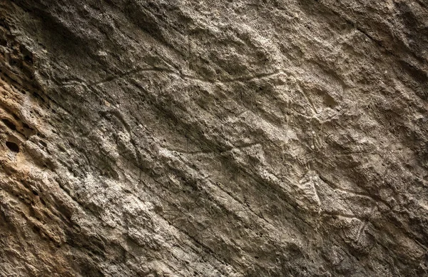 Fragment z petroglyph v Gobustan, — Stock fotografie