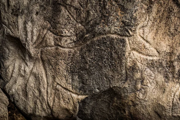 Fragment z petroglyph v Gobustan, — Stock fotografie