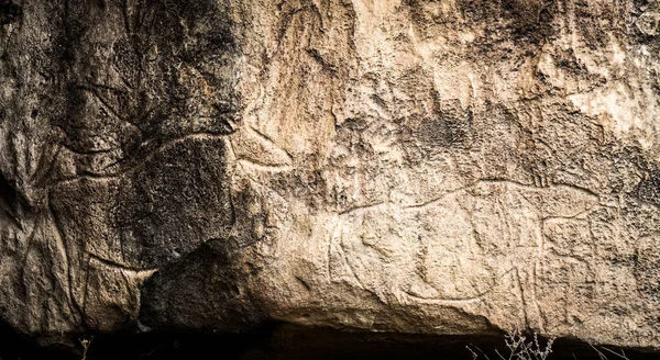 ゴブスタンの岩絵の断片, — ストック写真
