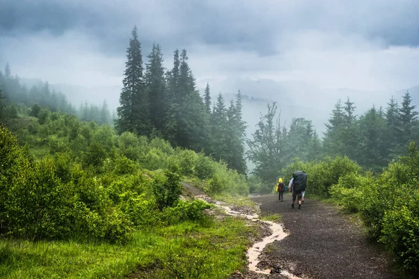 Luftaufnahme der Svan-Türme in der Mestia, Georgien — Stockfoto