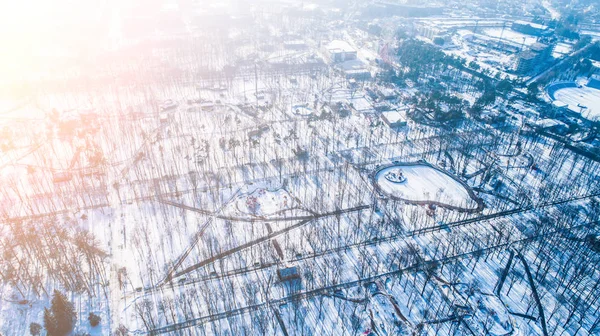 Top luchtfoto van lege stadspark in de winter met sneeuw — Stockfoto