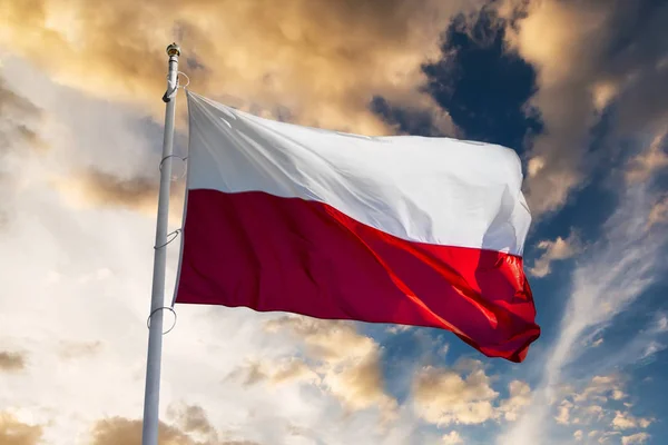 Polnische Flagge gegen den Sonnenuntergang — Stockfoto