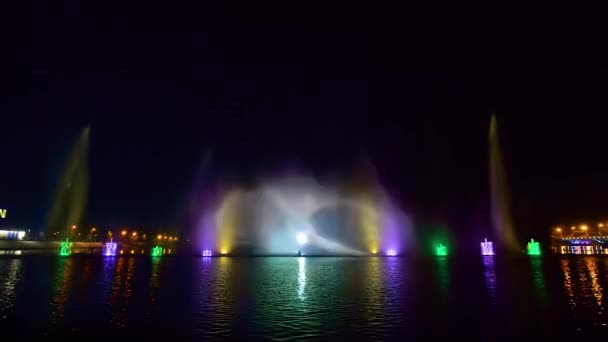 Чоловік і жінка танцювати на Лебедине озеро Показати на фонтан Рошен — стокове відео