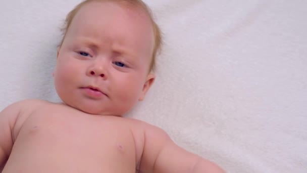 Charming newborn plays with her toy — Stock Video