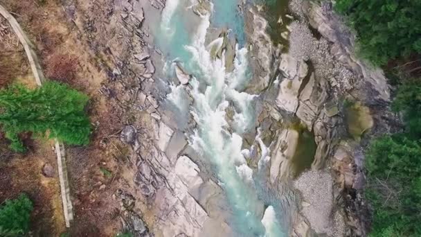 Rugido río de montaña — Vídeo de stock