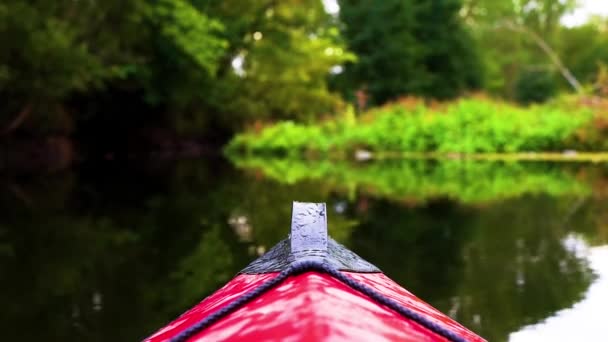 Descenso en el río en kayaks — Vídeo de stock