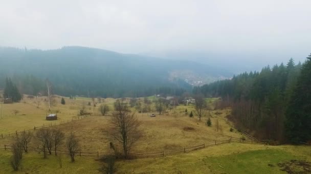 Panoramisch uitzicht op de boerderij weide — Stockvideo