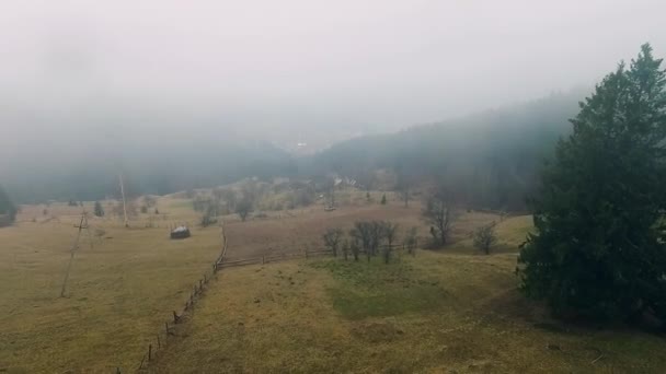 Prato agricolo sotto la nebbia — Video Stock