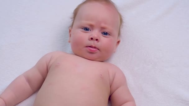 Angelic newborn plays with her toy — Stock Video