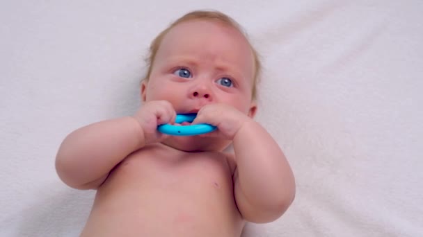 Adorable newborn plays with her toy — Stockvideo