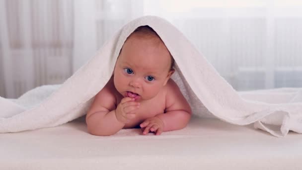 Newborn baby under the white towel — Stock Video