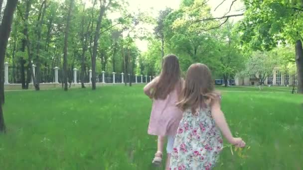 Twee kleine meisjes in park — Stockvideo