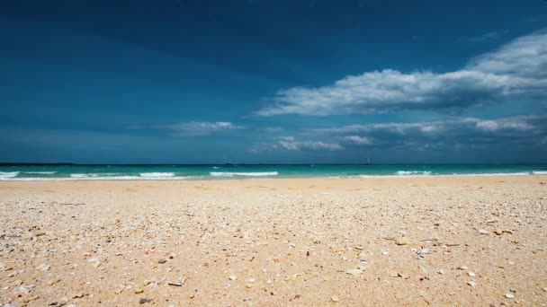 Blick auf die Skyline von einer Sandküste — Stockvideo