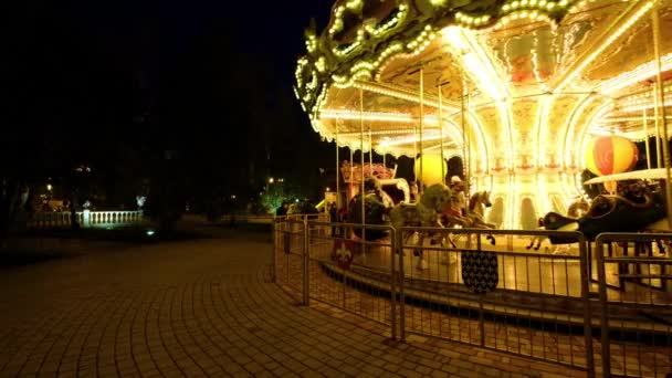 Carrousel français la nuit — Video