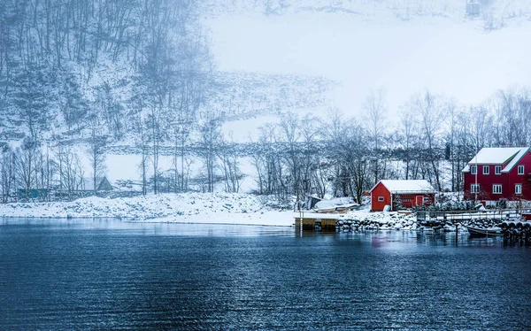 Fiordos noruegos en invierno — Foto de Stock