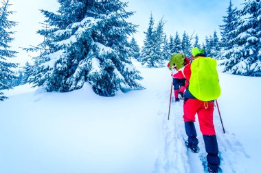 Turist trekking Polonyalılar ve dağlarda parlak sırt çantası