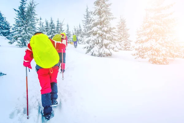 Turist trekking Polonyalılar ve dağlarda parlak sırt çantası — Stok fotoğraf