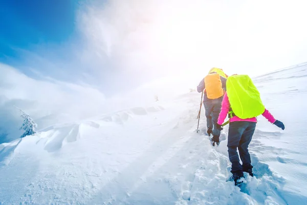 Grupo de alpinistas caminhando pela trilha no inverno — Fotografia de Stock