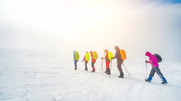 Похід альпіністами в гори — стокове фото