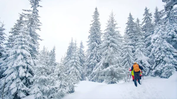 Grupo de escaladores recorriendo el sendero en las montañas de invierno —  Fotos de Stock