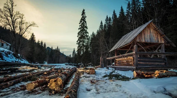 Wooden shed with logs in winter forest