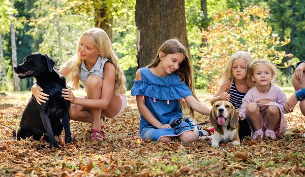 Mooie blonde meisjes zitten met honden in een park — Stockfoto