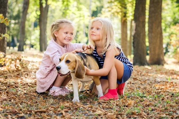 Kleine lächelnde blonde Mädchen sitzen und umarmen Beagle-Hund — Stockfoto