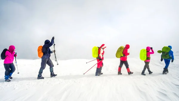 Alpinistas caminham nas montanhas — Fotografia de Stock