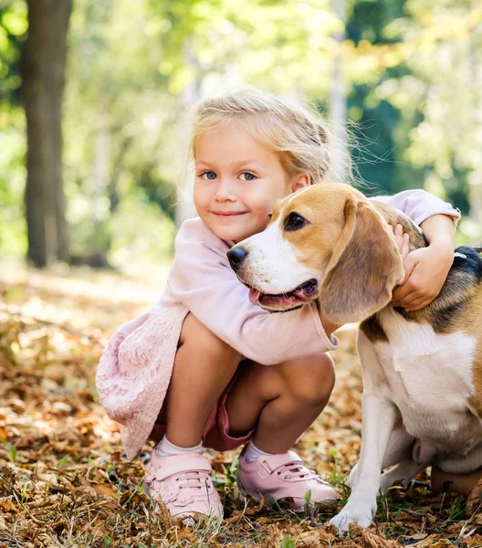 Malá usměvavá blondýnka sit objímání psa beagle — Stock fotografie