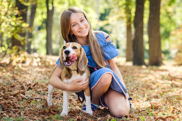 Kleine lächelnde blonde Mädchen sitzen und umarmen Beagle-Hund — Stockfoto