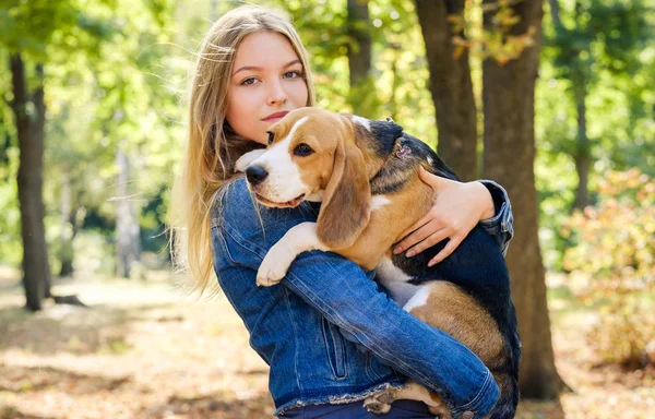 Pretty blond girl holding beagle dog Royalty Free Stock Photos