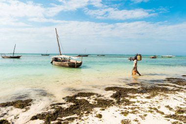balıkçı tekne, kıyı ile ot, Zanzibar olacak