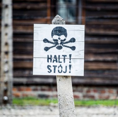 Auschwitz toplama kampı