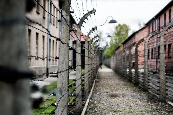 Auschwitz toplama kampı — Stok fotoğraf