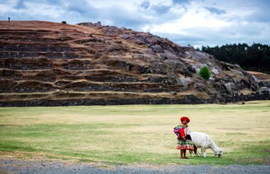 Woman in national clothing shepherd white lama in Sacsayhuaman clipart