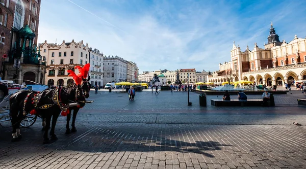 Krakow city square — Stock Photo, Image