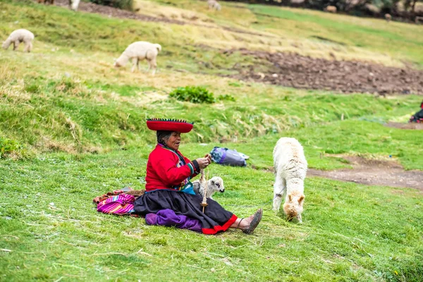 Corderitos sherpherd mujer en Perú — Foto de Stock