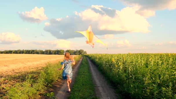 Liten flicka kör med kite — Stockvideo