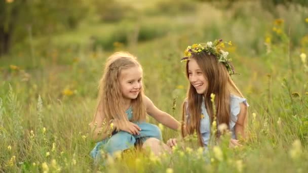 Girls on the summer meadow — Stock Video